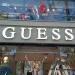 Doğan Neon Guess
